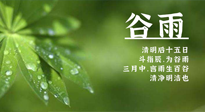 【二十四節(jié)氣灸】谷雨時節(jié)，用艾為您的健康加上一道保險！