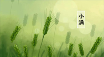 【二十四節(jié)氣灸】小滿(mǎn)時(shí)節(jié)話艾灸，康健脾胃、祛除濕熱正當(dāng)時(shí)！