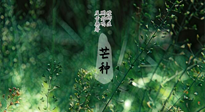 【二十四節(jié)氣灸】芒種節(jié)氣，培土補(bǔ)脾、養(yǎng)陰生津！艾灸這些穴位事半功倍！