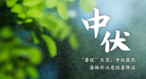 【三伏養(yǎng)生】至熱中伏，吃三樣，喝三樣，三大禁忌千萬(wàn)別犯，小心落下病根！