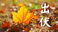 【三伏養(yǎng)生】出伏后做好養(yǎng)生很關(guān)鍵！一行要注意！