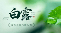 【二十四節(jié)氣灸】白露涼爽，養(yǎng)心肝脾胃、滋陰潤肺是關(guān)鍵！