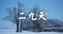 【三九養(yǎng)生】冬二九，扶陽補腎氣，讓你陽氣充足一整年！
