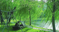 【養(yǎng)生知識】元宵入六九，春季已至，六九天的養(yǎng)生知識你知道多少？