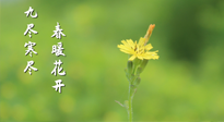 【九九養(yǎng)生】三月四日“九九日”，寒冬已過(guò)。春天養(yǎng)好身，全年不怕?。? />
                    </a>
                </div>
            </li>
            
            <li id=