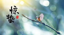 【二十四節(jié)氣灸】驚蟄節(jié)氣，艾灸喚醒抵抗力、補(bǔ)充陽氣的最好時(shí)機(jī)！