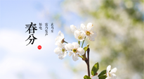 【二十四節(jié)氣灸】春分，平分了大地晝夜；艾灸，平衡了身體陰陽！