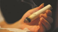 【艾灸知識(shí)】春暖花開，衣衫漸薄，再不減肥，身上的肉肉可藏不住了！