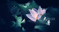 【二十四節(jié)氣灸】趁大暑好好艾灸，才不辜負(fù)三伏天的驕陽(yáng)！