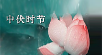 【艾灸三伏天】中伏：三伏灸的關(guān)鍵轉(zhuǎn)折點(diǎn)！“灸”除病根的大好時(shí)機(jī)！