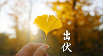 【艾灸三伏天】出伏啦！三防三宜兩穴位，防止身體“秋后算賬”！