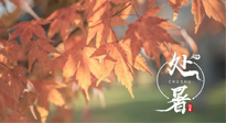 【二十四節(jié)氣灸】處暑，冬病夏治倒計(jì)時(shí)！秋涼真的要來(lái)了！