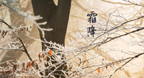 【二十四節(jié)氣灸】霜降節(jié)氣：艾灸四穴，護(hù)您冬天安然無(wú)恙！