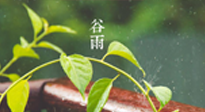 【二十四節(jié)氣灸】谷雨節(jié)氣脾土濕，艾灸降濕濁，脾旺不受邪！