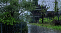 【艾灸知識】多雨的日子里，艾灸會不會加重濕氣呢？